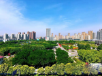 焦作城市建設(shè)將有大動(dòng)作！打造宜居、韌性、智慧、綠色城市!